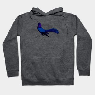 Boat-tailed Grackle - UPDATED! Hoodie